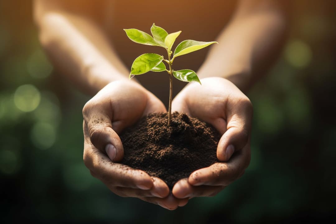 Sustentabilidad